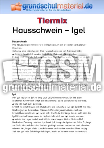 Hausschwein - Igel.pdf